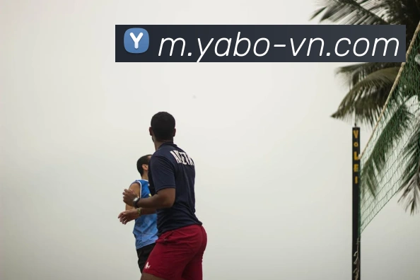 yabo服务体系
